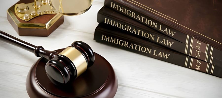 Demand for Immigration Attorneys
