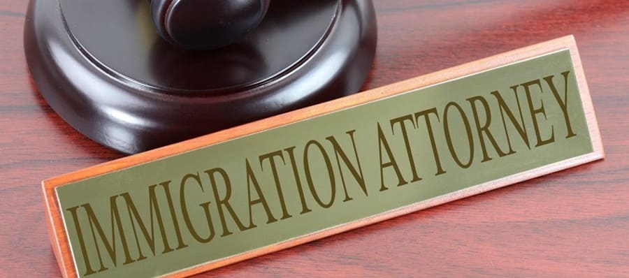 Visa Paths & Immigration Laws